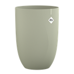 sereh haut 40cm vert scandinave